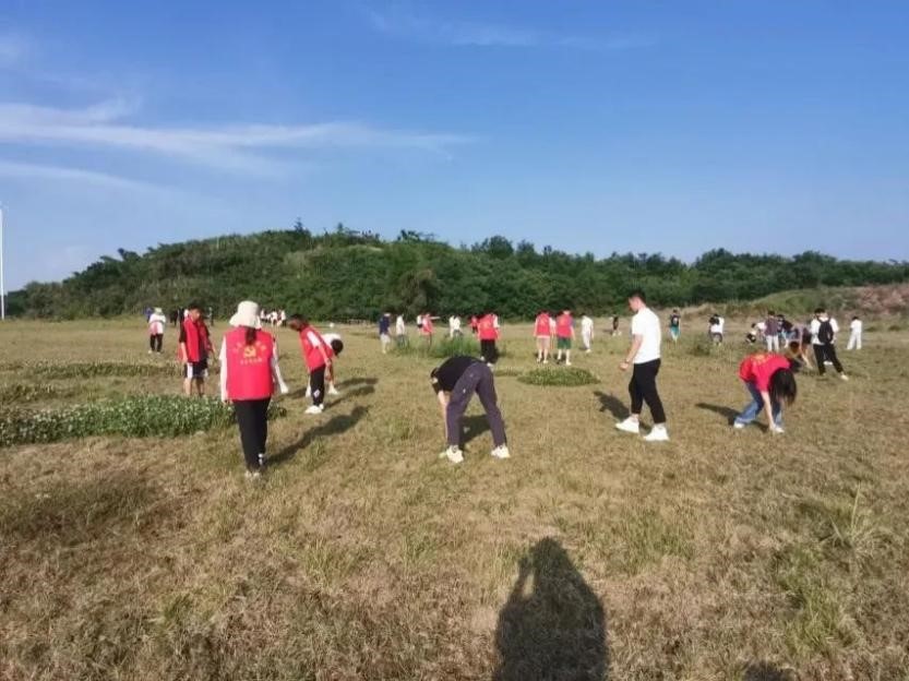 图片35.jpg